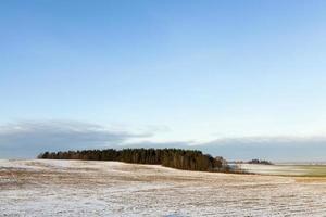 veld in de sneeuw foto