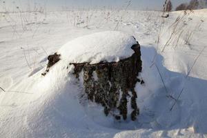 stomp onder de sneeuw foto