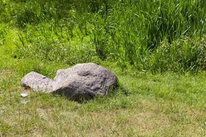 stenen op groen gras foto