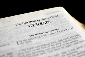 Genesis foto