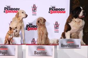 los angeles, 14 feb - papi, marley, baxter, beethoven bij de mr peabody geëerd met pootafdrukken in cement bij tcl chinese theater op 14 februari 2014 in los angeles, ca foto