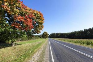 herfst weg. herfst foto