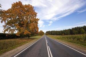 de herfstweg foto