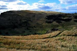 lange grassen op de heuvelwandeling naar Arthur's stoel foto