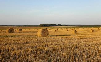 strostapel in een veld foto