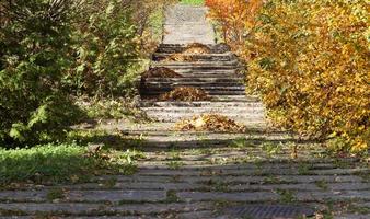 wandelweg, close-up foto