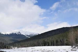 de natuur van Oost-Siberië. taiga. grondgebied van krasnojarsk foto