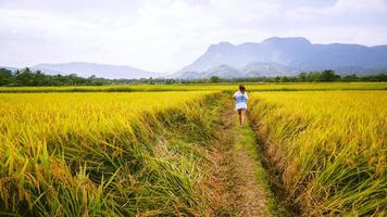 aziatische vrouwen reizen rijstvelden goudgeel op de bergen in de vakantie. gelukkig en genietend van een prachtige natuur. reizen in countrysde, groene rijstvelden, reizen thailand. foto