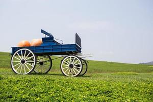 wagen vol pompoenen in boerderij foto