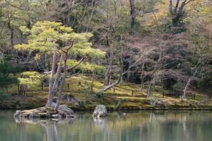 Japanse tuin bij beroemde kinkakuji foto