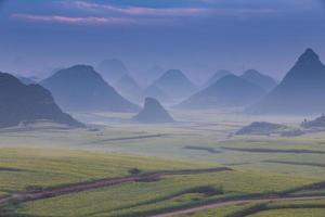 geel koolzaadbloemveld met de mist in luoping, china foto