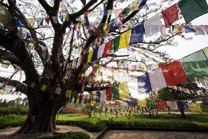 boeddhistische gebedsvlaggen in lumbibi, nepal foto