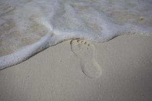 enkele voetafdruk op zandstrand foto