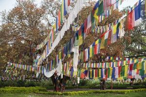 boeddhistische gebedsvlaggen in lumbibi, nepal foto