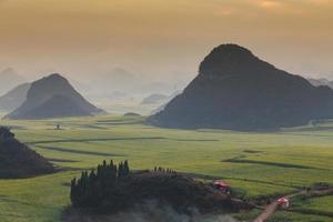 geel koolzaadbloemveld met de mist in luoping, china foto