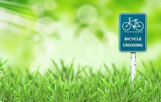 fietsteken en groen gras foto