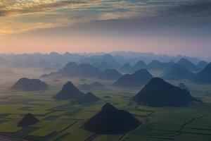 geel koolzaadbloemveld in luoping, china foto