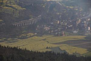 geel koolzaadbloemveld in luoping, china foto