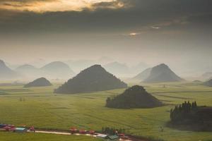 geel koolzaadbloemveld met de mist in luoping, china foto