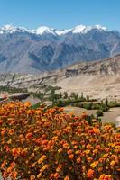 sneeuwbergketen, leh ladakh, india foto