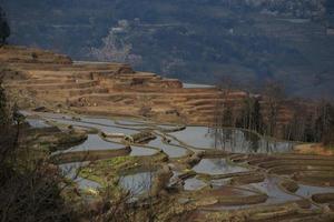 uitzicht op yuan yang rijstterrassen foto