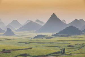 geel koolzaadbloemveld met de mist in luoping, china foto