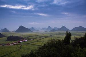 geel koolzaadbloemveld met de mist in luoping, china foto