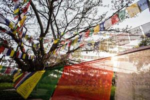 boeddhistische gebedsvlaggen in lumbibi, nepal foto