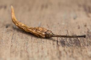 close-up van de gedroogde chili op het hout foto