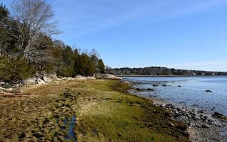 ruig zeegezicht met moerasgrassen en getijdenpoelen foto