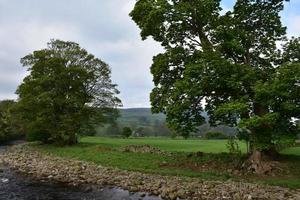 schilderachtig landschap met een rivier en bomen foto