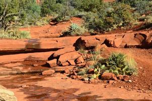 rode rotsplank in prachtige sedona, arizona foto