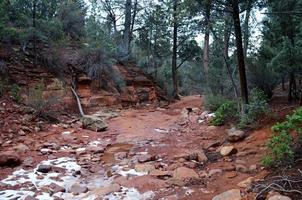 beetje sneeuw op een pad in sedona, arizona foto