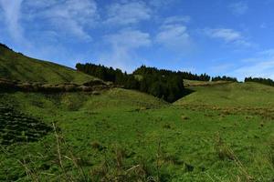 prachtige glooiende grasvelden en heuvels op de Azoren foto