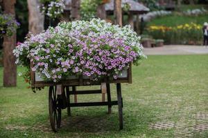 bloemen op de wagen foto