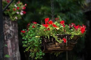 hangende mand met bloemen foto