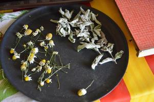 gedroogde nuttige tuinkruiden voor thee foto