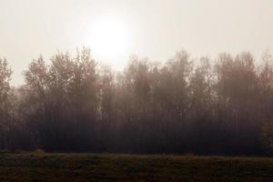 mist in het herfstseizoen foto