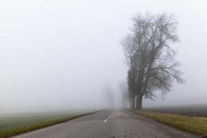 geasfalteerde weg, herfst en mist foto