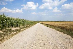 weg in een veld foto