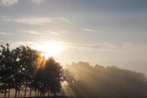 prachtige zonnestralen, bomen foto