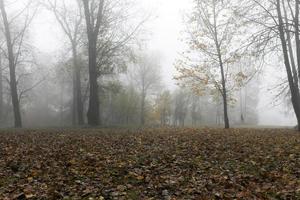 mist in het herfstseizoen foto