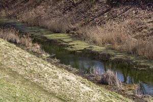 deel van de kreek foto