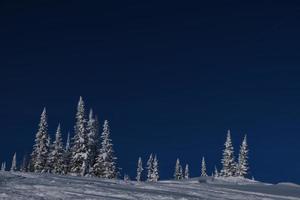 zonnige winterochtend in de bergen van sheregesh op de skipiste foto