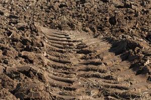 sporen van tractor foto