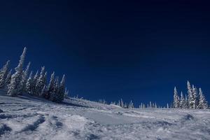 zonnige winterochtend in de bergen van sheregesh op de skipiste foto