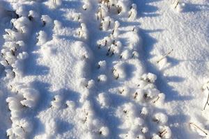 veld in de sneeuw foto