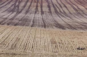 gestreept veld van geploegde grond foto