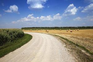 weg in een veld foto