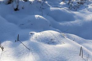 heuveltjes in het moeras grote stuwen na sneeuwval foto